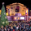 You'll definitely want to check out the Christmas tree lighting at the ice rink at The Cosmopolitan in Las Vegas this week