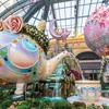 'Tea and Tulips,' the latest installation at the Bellagio Conservatory & Botanical Gardens in Las Vegas