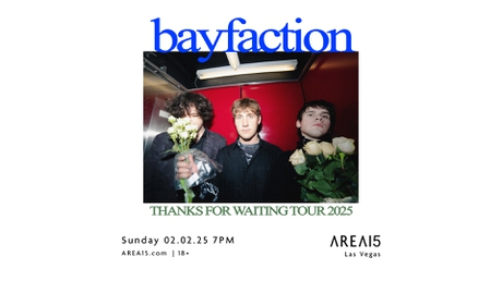 Bay Faction