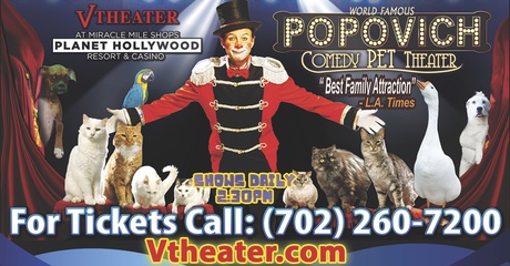 Popovich Comedy Pet Theater