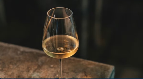 Classic vs. Curious: A Wine Tasting Adventure PART 2