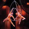 Heat up the cold nights with 'Zumanity'