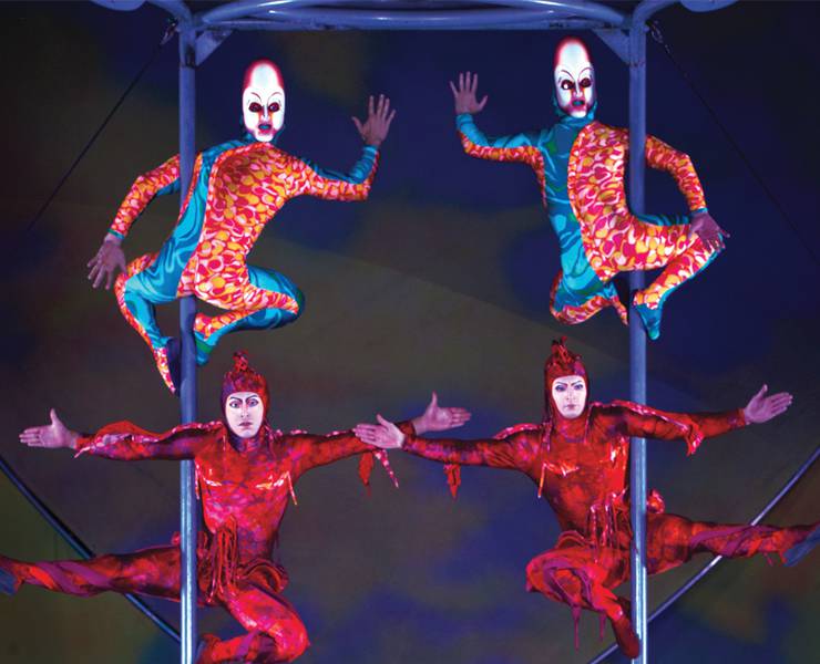 Live Action 'One Piece' Adds Former Cirque du Soleil Acrobat as Cabaji -  Murphy's Multiverse
