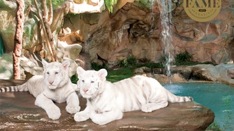 This tribute to the entertainment legends has provided teachable moments for 30 years.