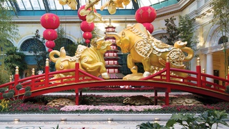 New display celebrates the Year of the Ox .