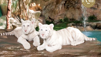 Attraction aims to increase conservation through education.