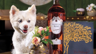 You’d better believe there are some dynamite specials everywhere!