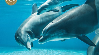 Lush attraction offers lots to explore.