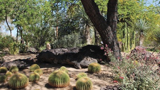 What sweeter way to celebrate Mother’s Day?