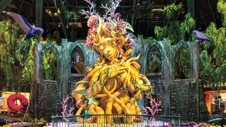 Eco: A Season of Earthly Awareness highlights natural resources.