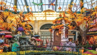 ‘Deeper Into the Woods’ re-creates a forest dream.