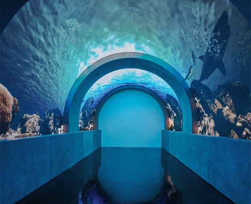 Expand your mind while filling your senses at Arcadia Earth at Showcase Mall in Las Vegas
