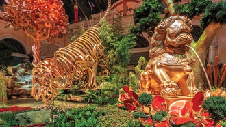 This year’s display celebrates The Year of the Tiger.