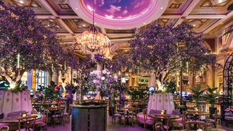 From great views to fantastic cocktails, there’s something for everyone on the Strip.