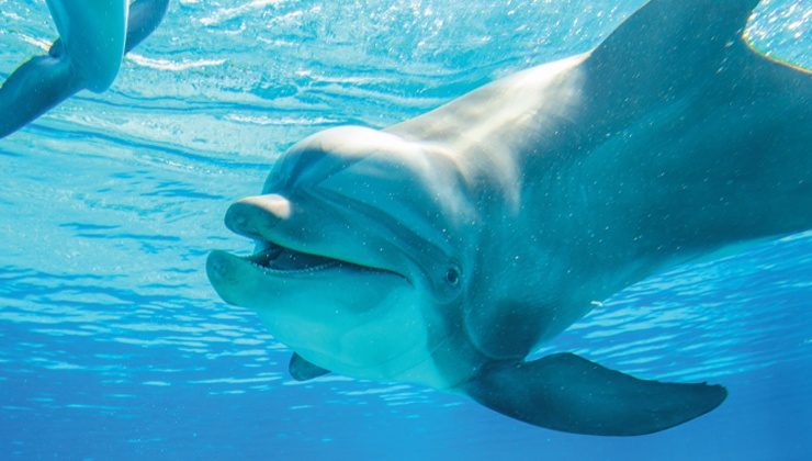 The Mirage attraction honors the legendary duo’s legacy.