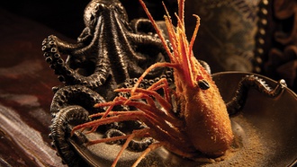 With 16 courses, the 20,000 Leagues Under the Sea dinner excites all the senses.