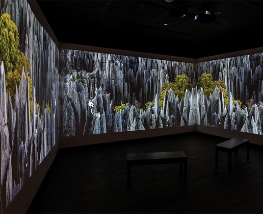 ‘Rarely Seen,’ a collection of National Geographic images presented in an innovative way, is currently running at Bally’s in Las Vegas