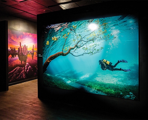 See the world like never before at ‘National Geographic Rarely Seen: Photographs of the Extraordinary’ at Bally’s in Las Vegas