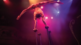 The Venetian production is an adults-only variety show of the highest order.