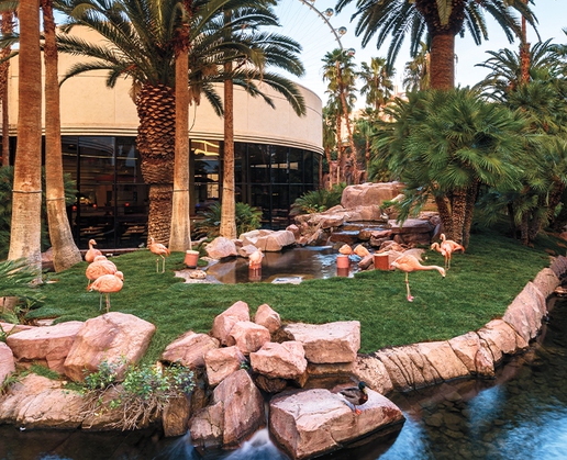 Real flamingos are just the beginning at the Wildlife Habitat at Flamingo in Las Vegas