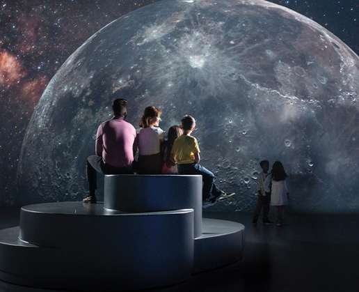 There's something for everyone at Illuminarium in Las Vegas