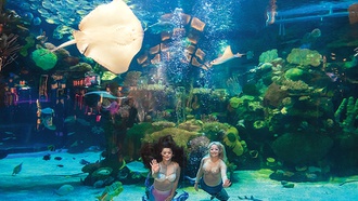 Get your tail up and indulge a maritime fantasy at this Silverton attraction.