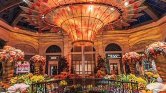 Bellagio's Conservatory & Botanical Gardens unveils its new seasonal display.