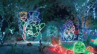 The Henderson venue features more than a million Christmas lights.