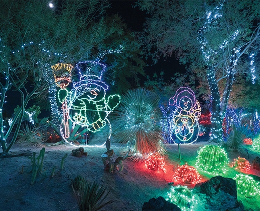 Ethel M's cactus garden will be lit with more than 1 million lights this holiday season