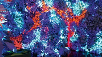 Immersive experience takes do-it-yourself aesthetics to new levels.