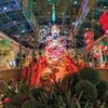 Bellagio Conservatory & Botanical Gardens' Year of the Rabbit display in Las Vegas