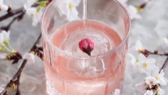 Enjoy the tradition of ‘Hanami’ through the end of April with food, drinks and live ...