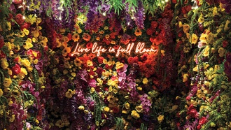 The gallery’s latest exhibit celebrates the season of renewal.