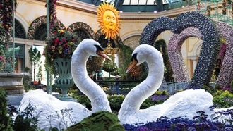 The venue gets to the heart of romance with its newest seasonal exhibit.