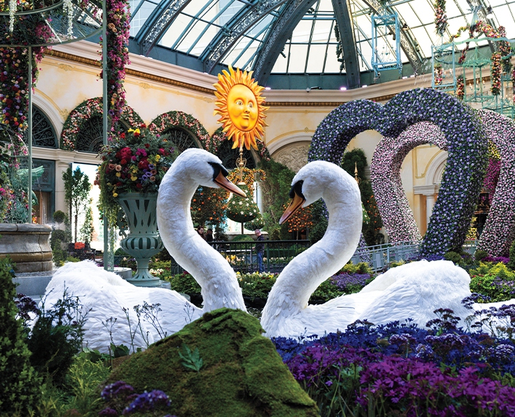 Bellagio Conservatory and Botanical Gardens springs up in Las