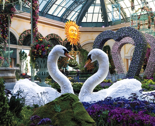 'Giardino Dell' Amore,' the newest display at the Bellagio Conservatory and Botanical Gardens in Las Vegas