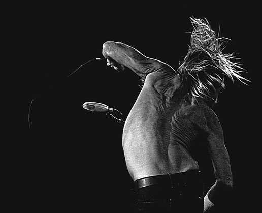 The Godfather of Punk Iggy Pop performs at Palms in Las Vegas on April 29