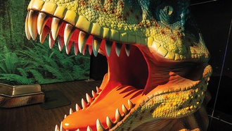 Explore 'TRANSFIX,' FlyOver Las Vegas, Dino Safari: A Walk Thru Adventure and more.