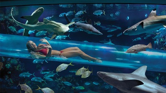 ‘Las Vegas Magazine’ publisher Katie Dixon helps you plan the perfect week!