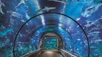 The family-friendly attraction at Mandalay Bay adds more creatures to the mix.