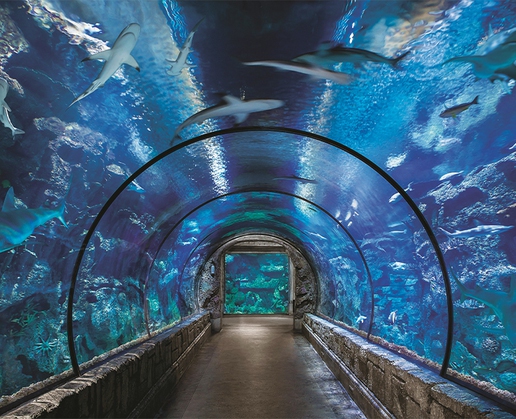 Shark Reef Aquarium at Mandalay Bay in Las Vegas