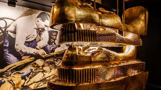 Imagine Exhibitions allows guests to explore unique worlds with its narrative-driven immersive experiences.