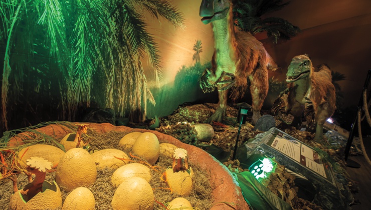 The Horseshoe Las Vegas attraction is fun for the entire family.