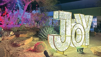 From visits with Santa to hot chocolate, this annual event is fun for the whole ...