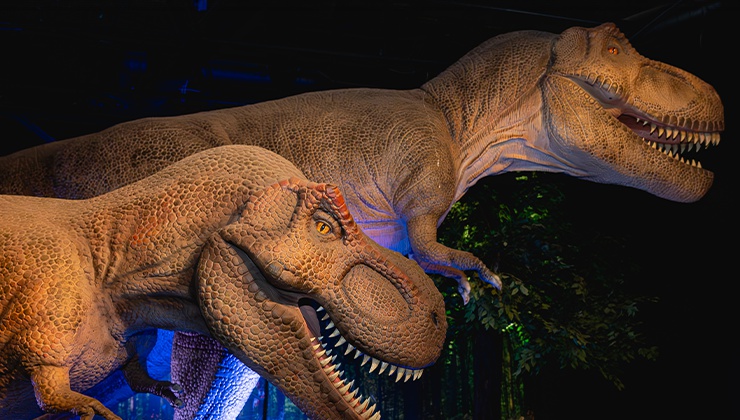 Nevada is well-known for its unique and storied history, but its prehistoric inhabitants are only ...