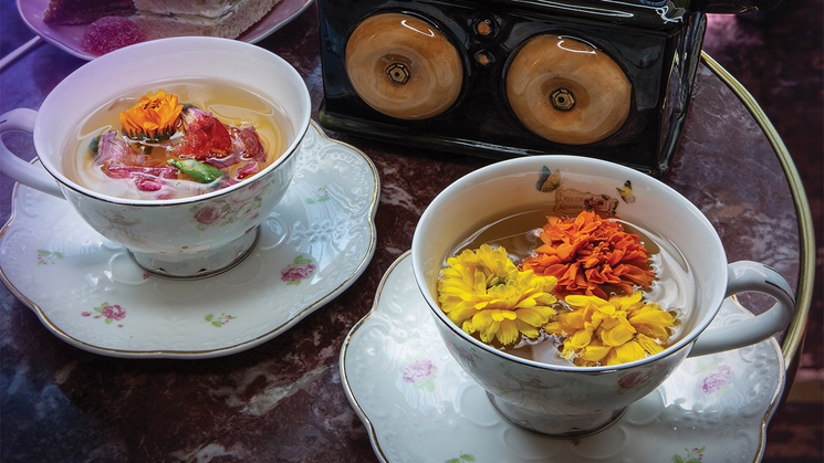 The White Lotus cocktail at The Shag Room at Virgin Hotels Las Vegas