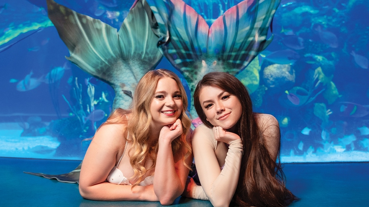 
Fulfill your mermaid fantasies at Mermaid School at Silverton Casino Lodge in Las Vegas