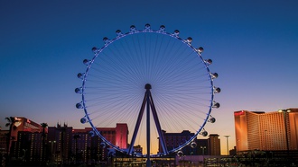The observation wheel at The Linq Promenade offers views like no other.