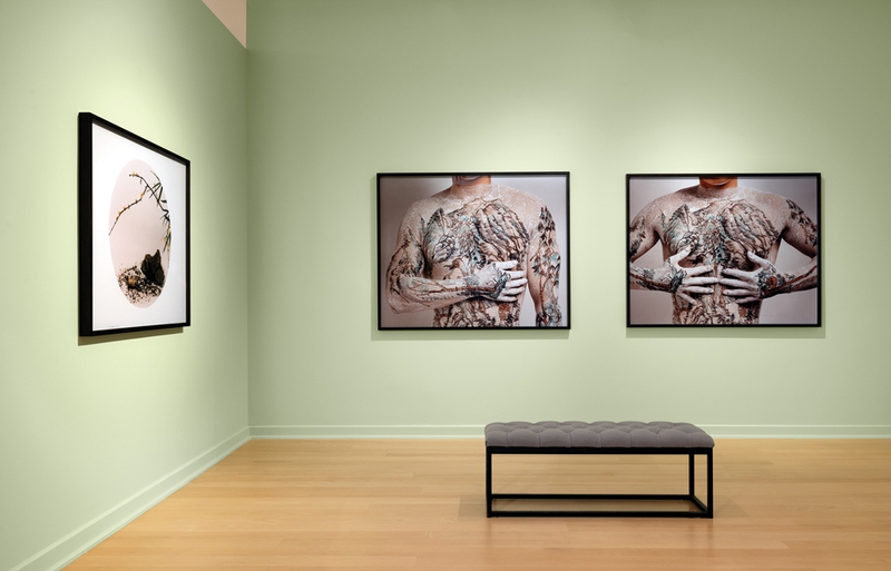 Installation view from left to right: ©Hong Lei, After the Dynasty: Ma Lin’s Fragrance with Sparse Shadow (Song Dynasty), (1999) and ©Huang Yan, Chinese Landscape No. 8 (1999), Chinese Landscape No. 1 (1999) in From Grain to Pixel: Contemporary Chinese Photography, 2024. Artwork courtesy of Private Collector. Image courtesy of Bellagio Gallery of Fine Art.