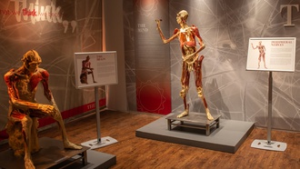 The unique attraction curated by Imagine Exhibitions continues to fascinate visitors